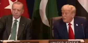 Trump and Erdoğan side by side at the UN summit.