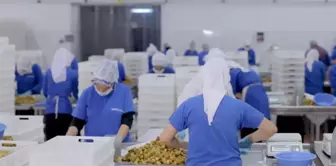 A Turkish food giant that exports to 14 countries has declared bankruptcy.