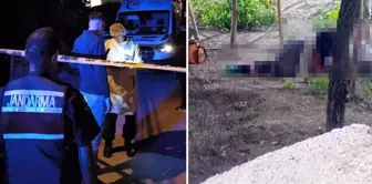He stabbed and killed his mother and father.