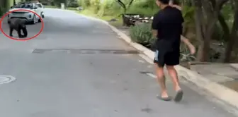 The star football player was shocked by the sight he encountered on his way home.