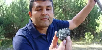 Mantar toplarken göktaşı buldu. 

ترجم إلى العربية: 