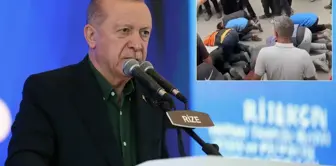 The images coming from Gaza after the ceasefire delighted President Erdoğan.