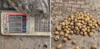The ultimate in immorality: 13 kilos of potatoes came out of a 22-kilo sack.