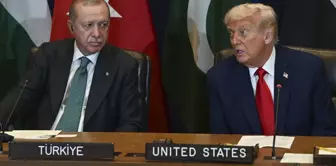 The names of the leaders who will attend the summit in Egypt have been announced.