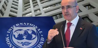 The IMF has raised its growth forecast for the Turkish economy.