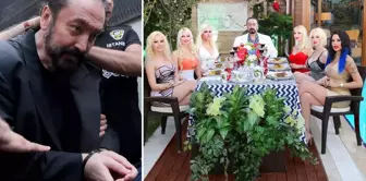 Here is the latest state of the villa where Adnan Oktar enjoys time with his kittens.