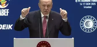 President Erdoğan addressed Africans with the verses of Nazım Hikmet.