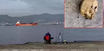 He experienced horror while fishing: A human skull got caught on the hook.