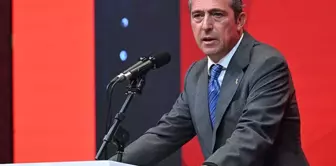 The foreign capital company that purchased a 4.8% stake in Fenerbahçe has been revealed.