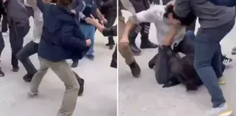 Someone has started to stir up trouble in the universities again.