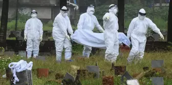 The virus that transmitted from animals to humans turned the country into a graveyard.