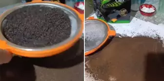 A citizen who strained the tea he bought from the market protested: They are selling us mud.