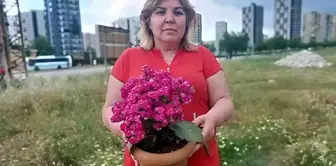 On Women's Day, the flowers that came to her door cost her a fortune.