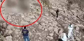 The mystery of the burned corpse in the field was solved with 