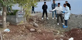 The person who went to visit his wife's grave encountered a horrifying scene at the cemetery.