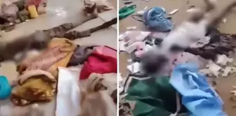 Attack on maternity hospital in Sudan: 460 people have lost their lives.