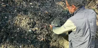 New faults detected! Prof. Dr. Sözbilir issues a frightening warning to the city that is shaking like a cradle.