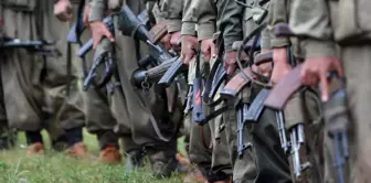 Hundreds of PKK terrorists have switched to the SDG, and Turkey has declared a state of alert.