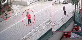 Parents, beware: This footage was recorded in the heart of Istanbul.