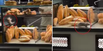 Disgusting sight in the oven: A $10,000 offer couldn't save the shop owner.