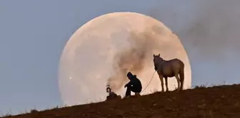 It was taken in Van, and everyone is sharing this shot.