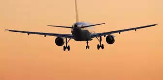 Onur Air has officially gone bankrupt! All financial transactions from the past 5 years are under investigation.