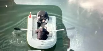 Illegal fishing has come at a high cost.