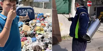 The garbage crisis has turned into an invasion, and the city is being treated with pesticides from four directions.
