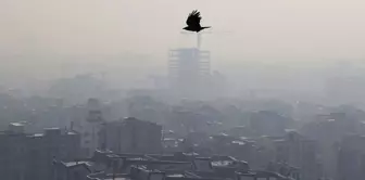 Education has been suspended in the neighboring country due to air pollution.