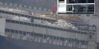 Scandal on the ship anchored off Bandırma: Cows licked the pipes due to thirst.