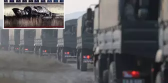 The black box of the crashed plane is in Turkey.