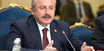 Mustafa Şentop: Graduating from university raises the age of marriage.