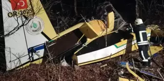 A firefighting plane crashed in Croatia, and the pilot was martyred.