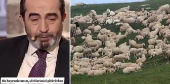 The location of the martyr's grave was noticed by the strange behavior of the sheep herd: When they started to dig that area...