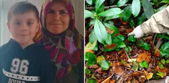 The most important evidence that will shed light on the deaths of the mother and son has also been found.