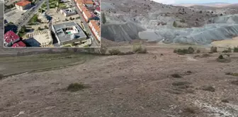 A discovery that will change the fate of our city: Its value is immeasurable.