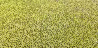 Apocalypse scenario for Istanbul: If we enter summer like this, it will be a disaster.