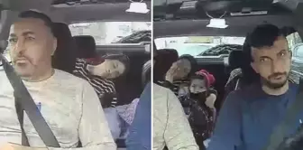 Here are the last images of the Bug family.