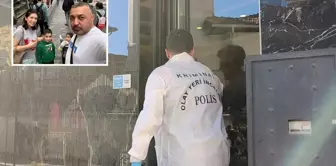 A terrifying detail in the death of the insect family! They were trapped in the room.