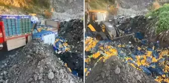 At the border gate, 6 tons of mandarins with pesticide residues were destroyed.