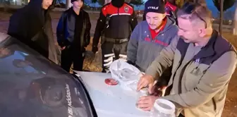 The police officers who opened the jar were shocked! It contained 10 million dollars per liter.