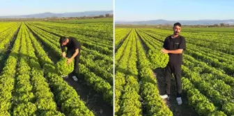 The rebellion of the farmer from İzmir, who said 