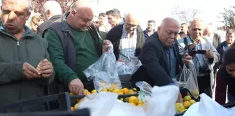 It's being sold for 30 TL in the markets! When the price dropped to 2 TL, they distributed tons of it for free.