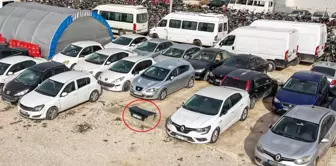 It has been waiting among the vehicles left to rot for 3 years: We take it with us wherever we move.