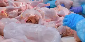 Turkey's giant chicken brand has declared bankruptcy.