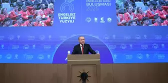 President Erdoğan: Preparations for the second action plan have begun.