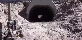 The construction of the love tunnel, designed for frogs to mate comfortably, has been completed.