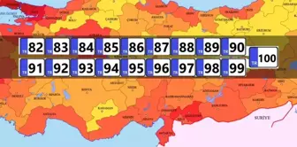 The list has been updated, and they are all candidates for becoming provinces! Here are 5 districts preparing for their license plates.