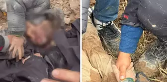 A 10-year-old child, who had been missing for 2 days, was found buried in the ground in a wounded condition.