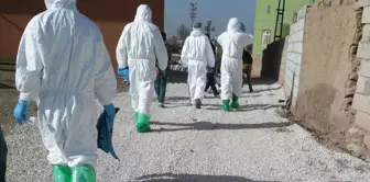 The feared has happened! In our city, where the disease has spread, 11 neighborhoods have been placed under quarantine.